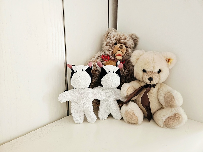 Der Teddybär – seine Geschichte und dein Kuscheltier selber machen