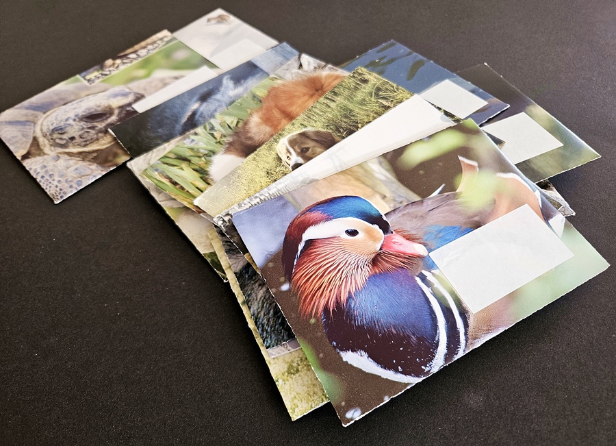 DIY: Briefumschläge für Snail Mail basteln – die Anleitung